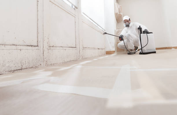 24/7 Emergency Mold Inspection experts in Fairview, TX