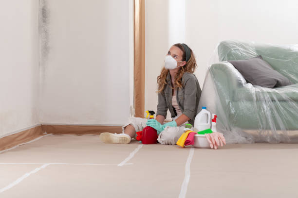 Reliable Mold Inspection contractor in Fairview, TX by WQB Mold Removal